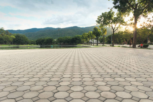 Best Professional Driveway Pavers  in Oswego, KS